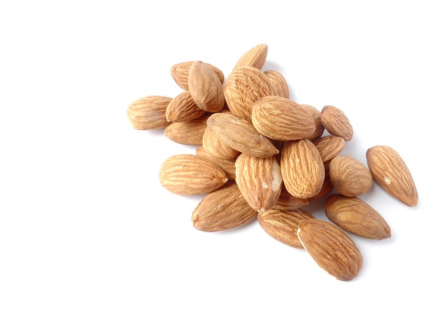 plant based protein